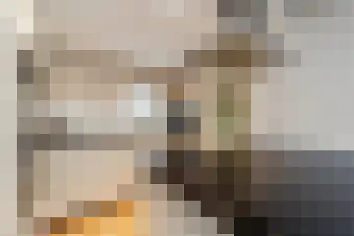 Bergroede 3 Zuidland thumbnail 8