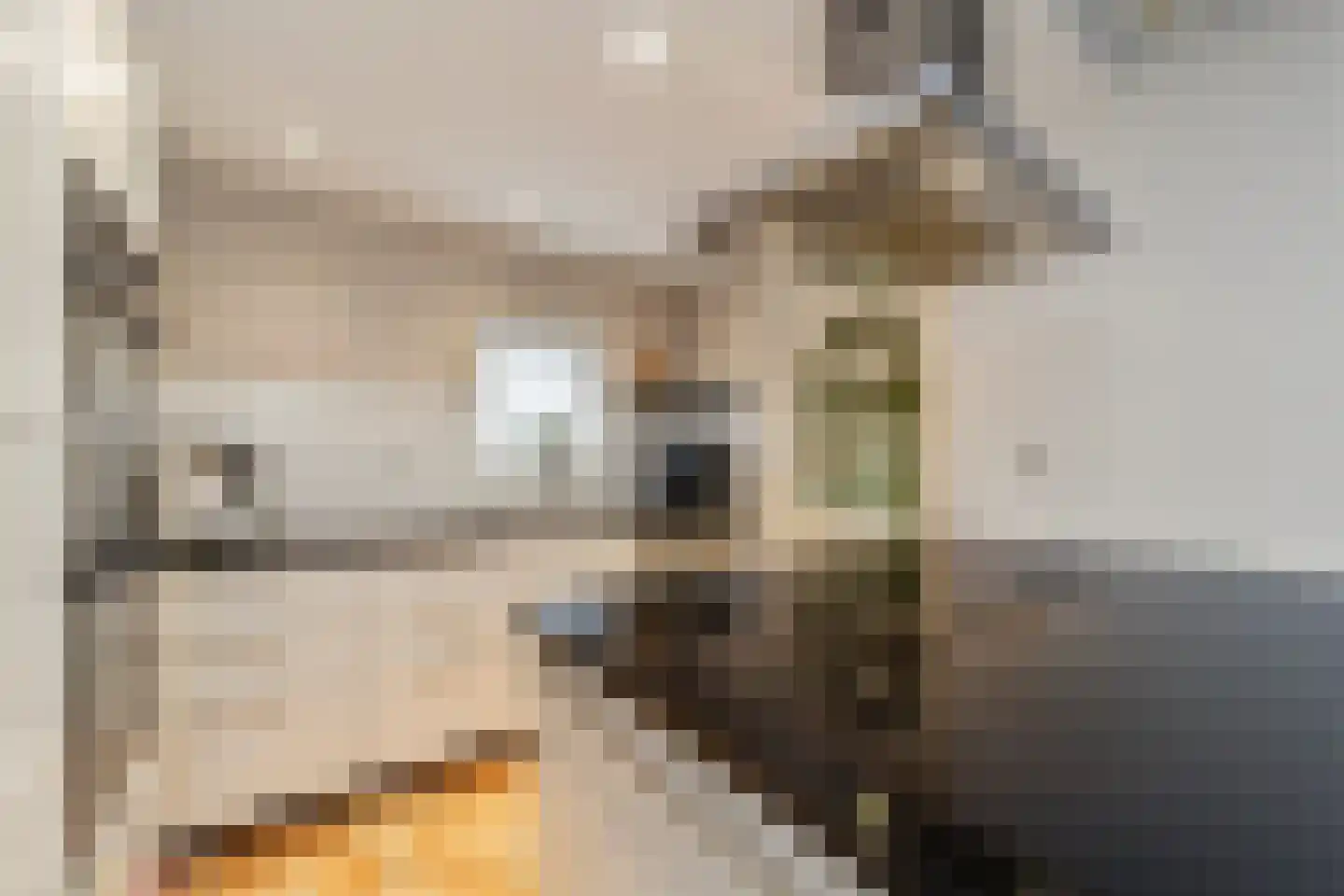 Bergroede 3 Zuidland thumbnail 8