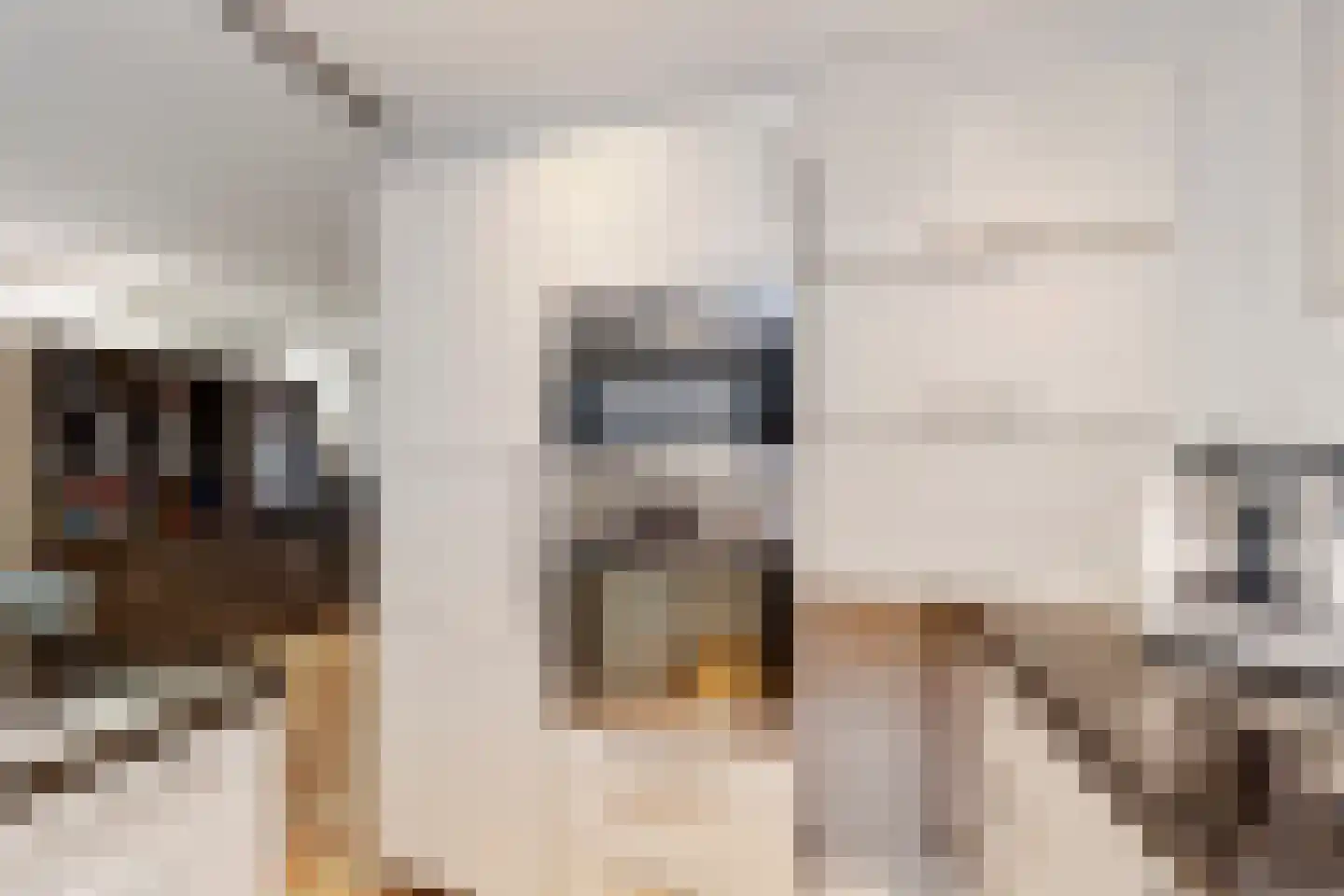 Bergroede 3 Zuidland thumbnail 9