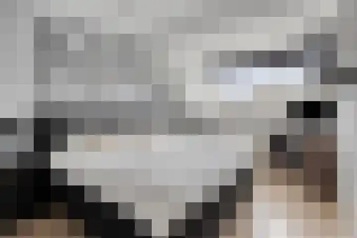 Bergroede 6 Zuidland thumbnail 14