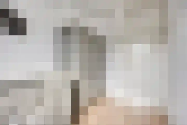 Bergroede 6 Zuidland thumbnail 19