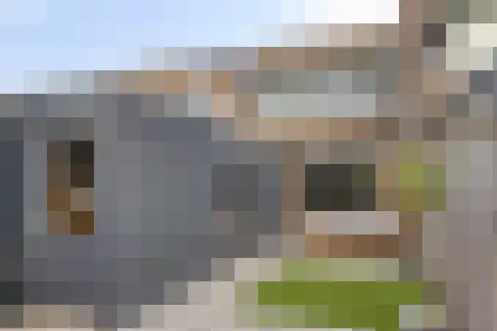 Bergroede 6 Zuidland thumbnail 24