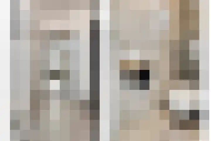 Bergroede 6 Zuidland thumbnail 4