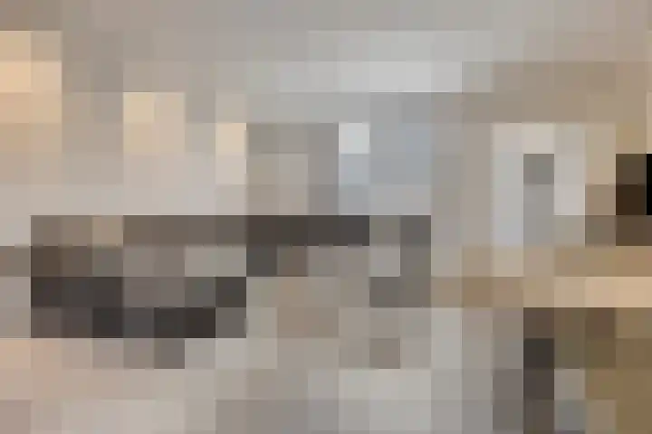 Bergroede 6 Zuidland thumbnail 7
