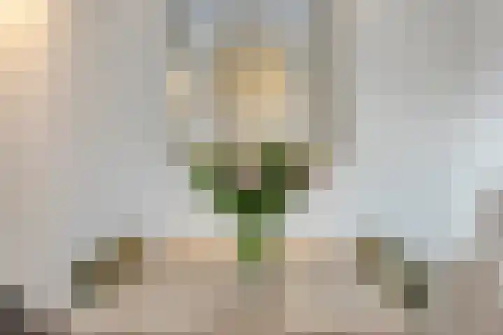 Bergroede 6 Zuidland thumbnail 9