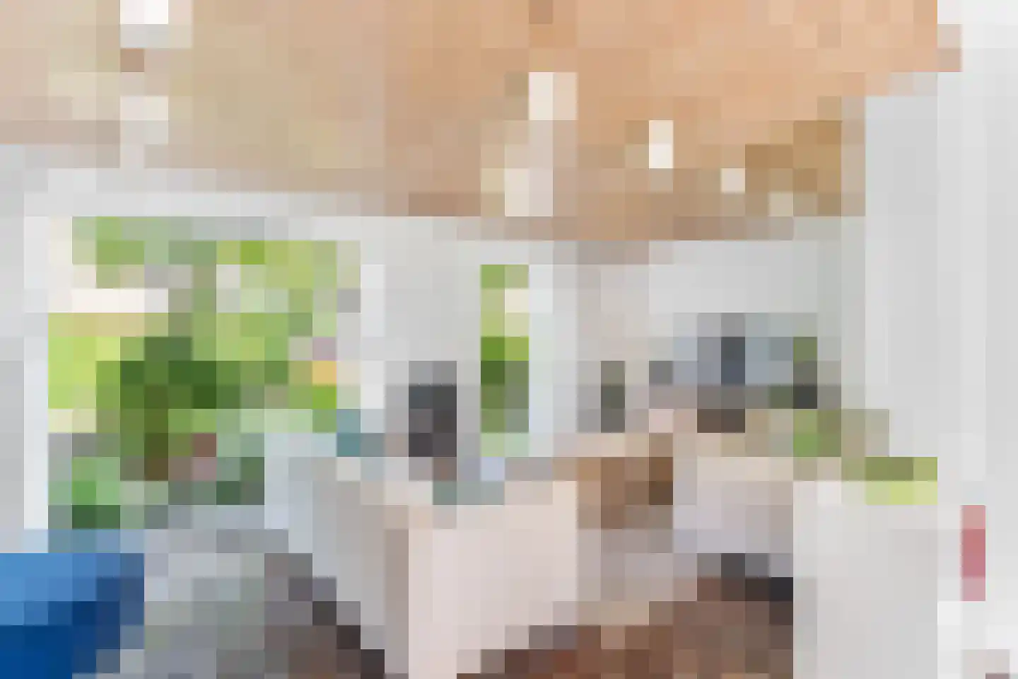 Bergroos 4 Leusden thumbnail 11