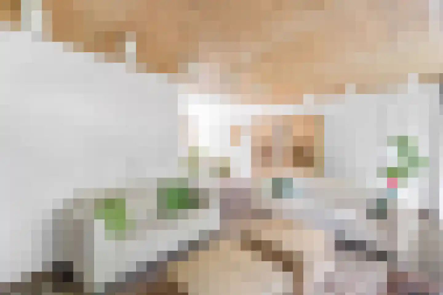 Bergroos 4 Leusden thumbnail 14