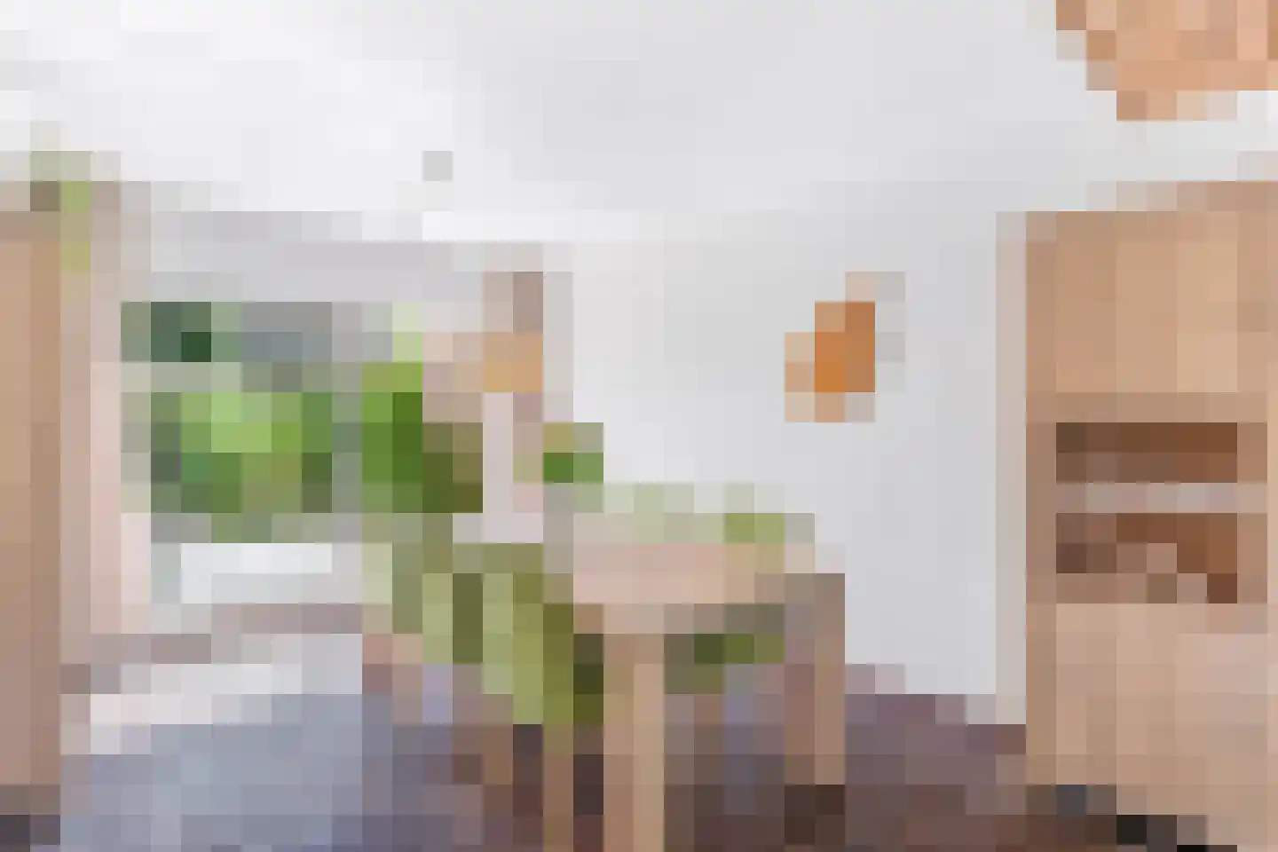 Bergroos 4 Leusden thumbnail 15