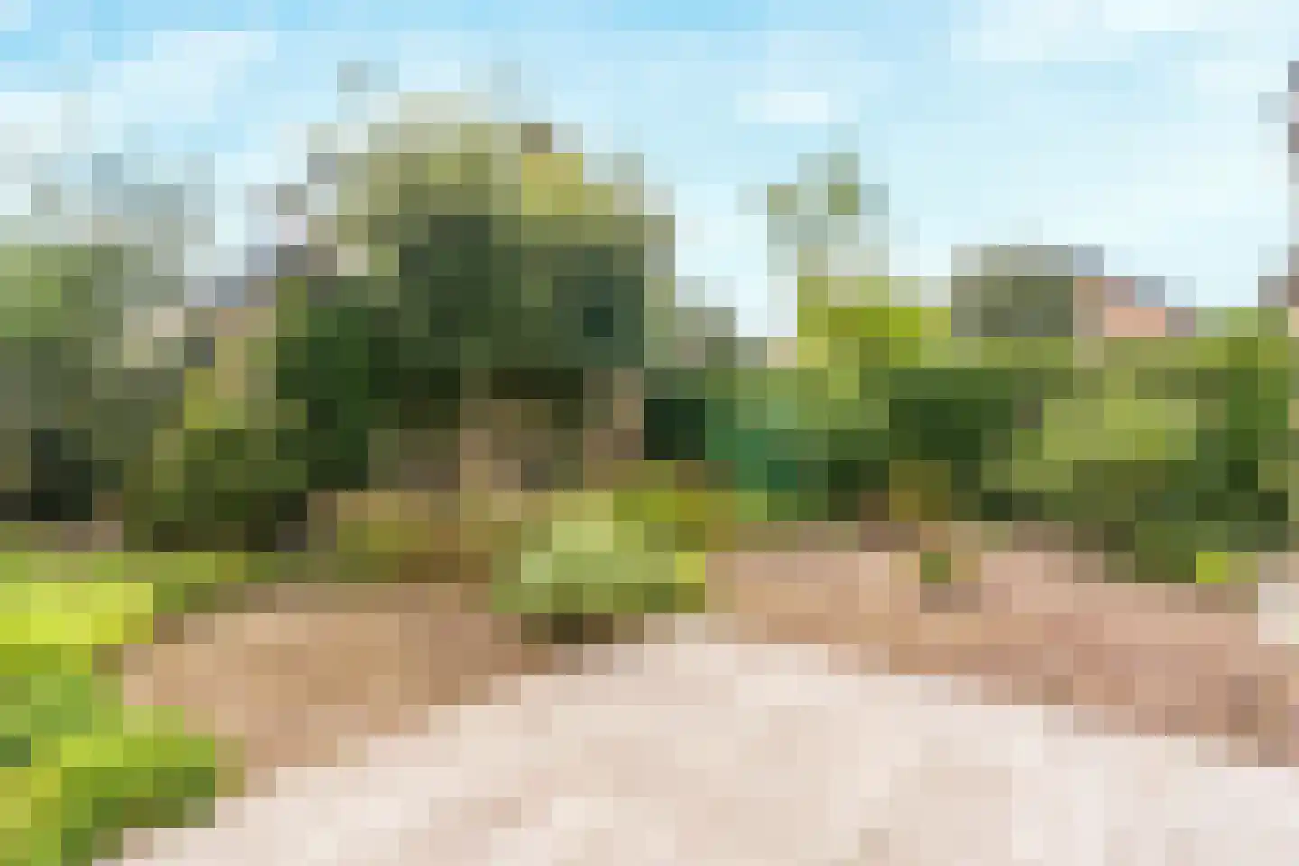 Bergroos 4 Leusden thumbnail 36