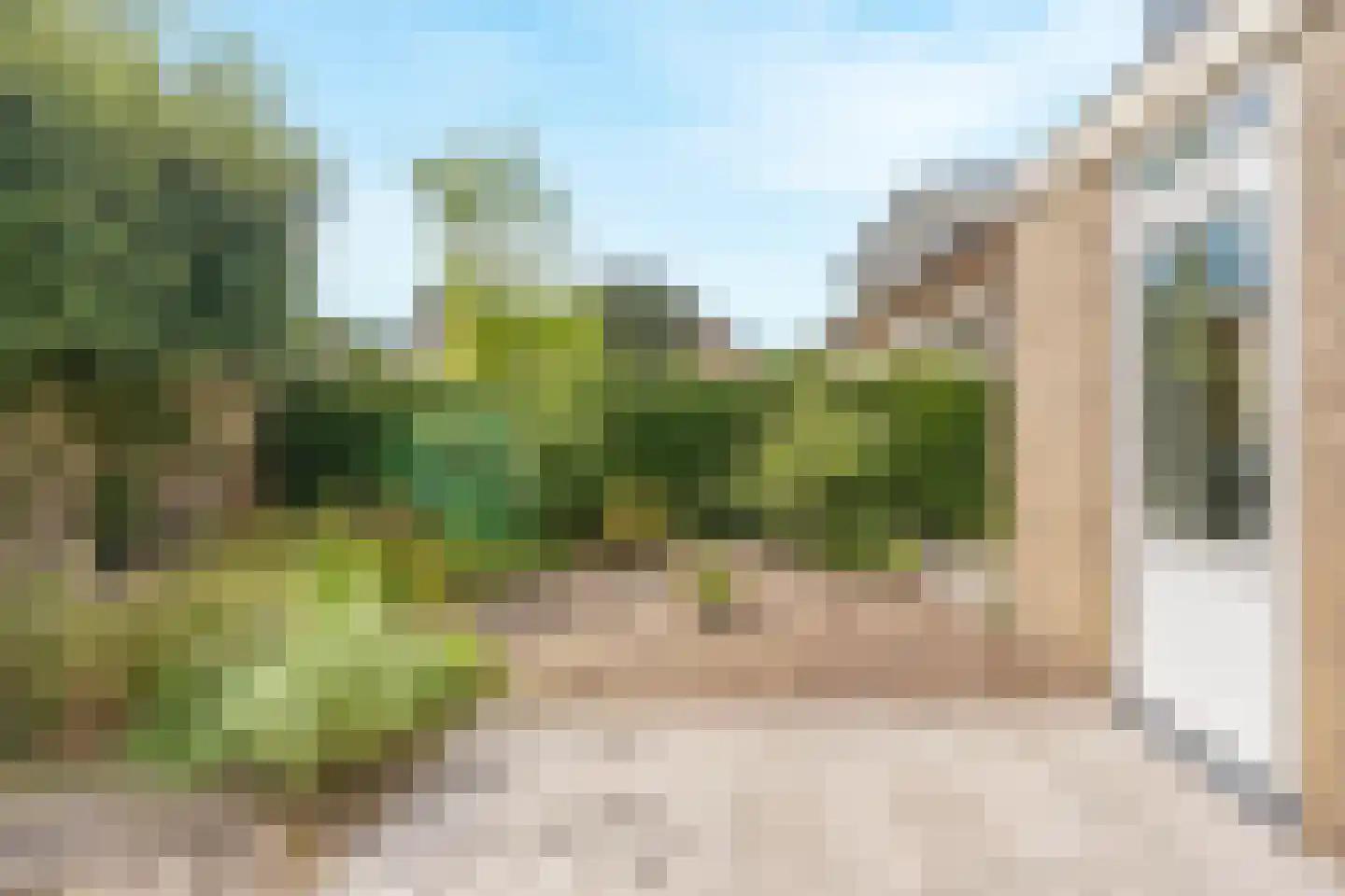 Bergroos 4 Leusden thumbnail 37