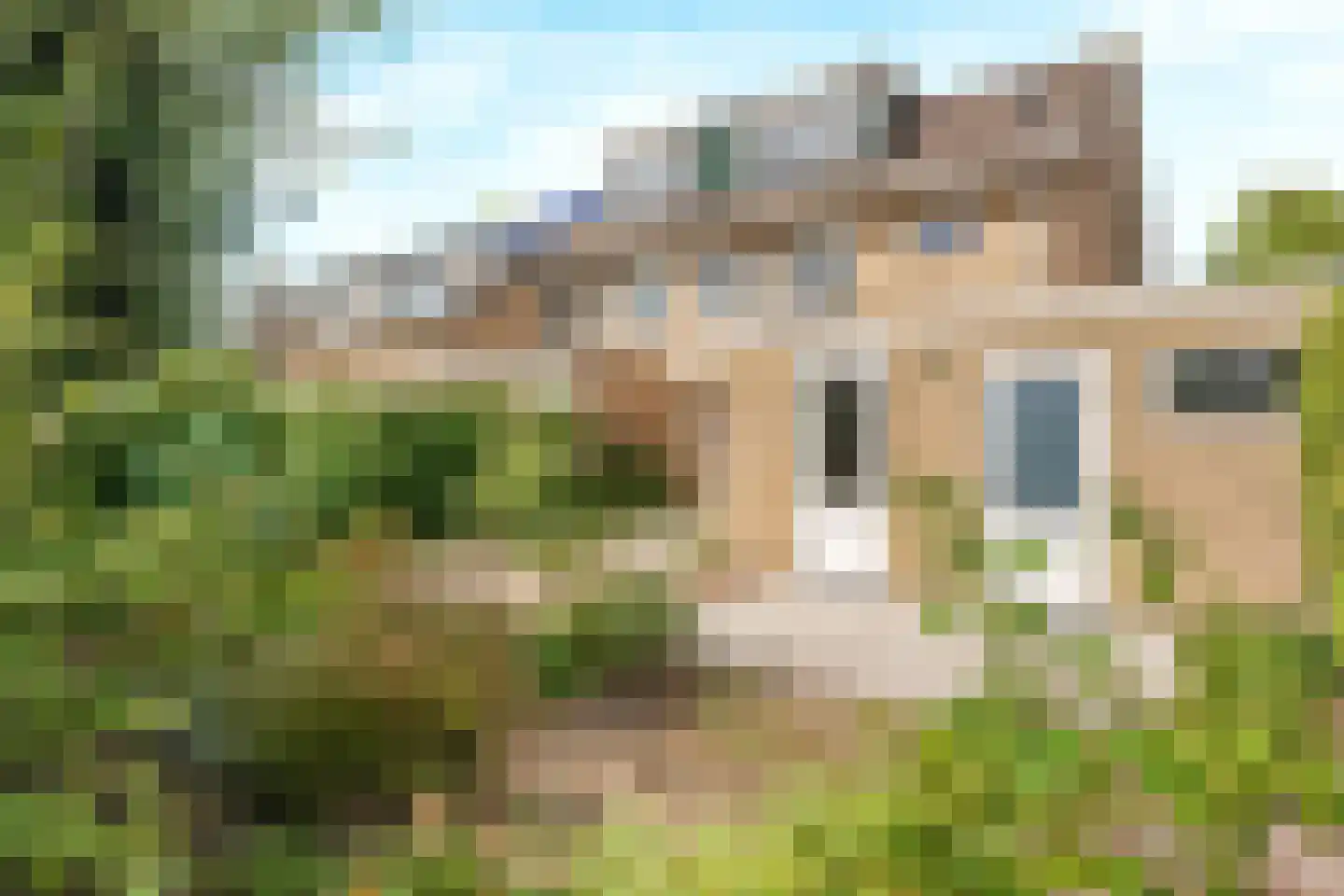 Bergroos 4 Leusden thumbnail 38