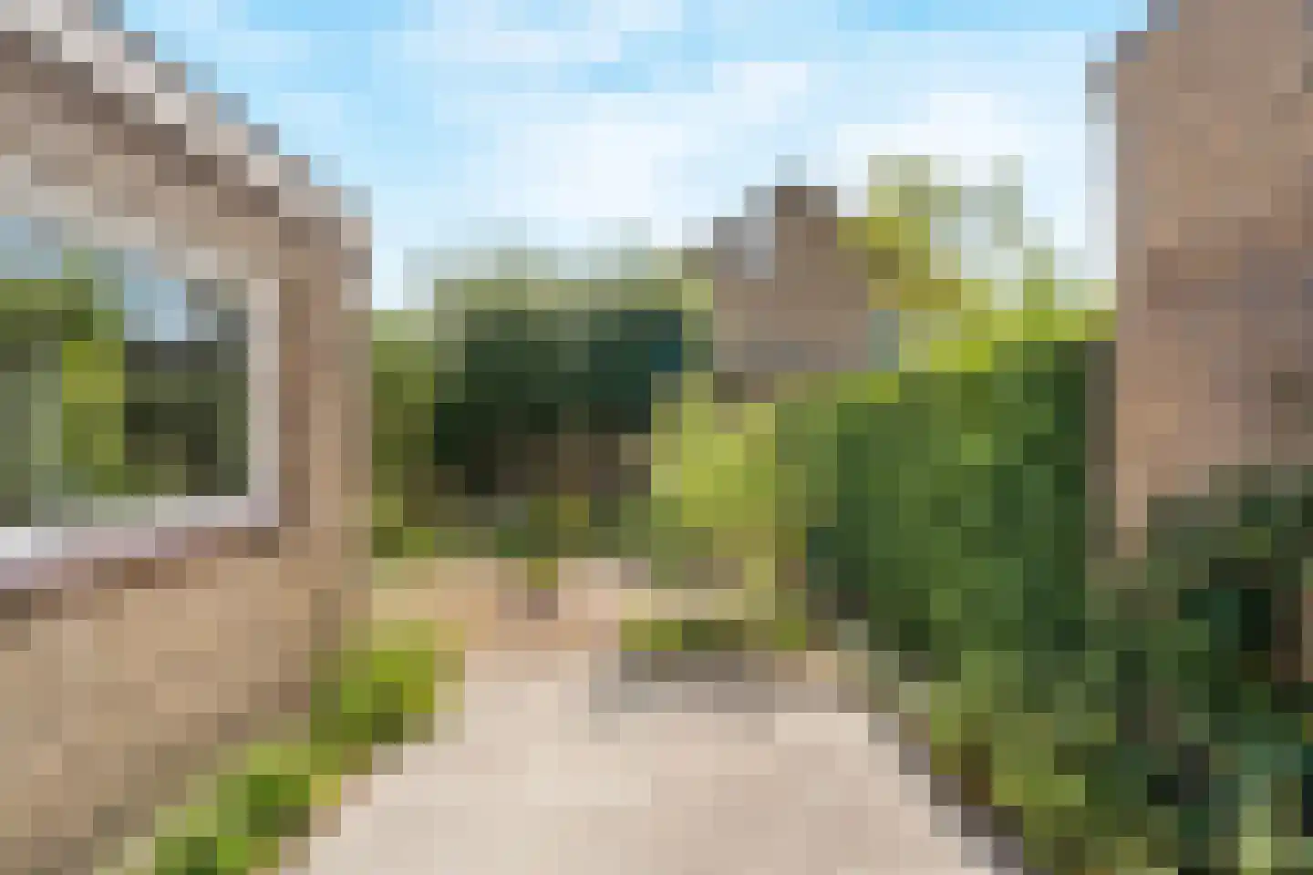 Bergroos 4 Leusden thumbnail 39