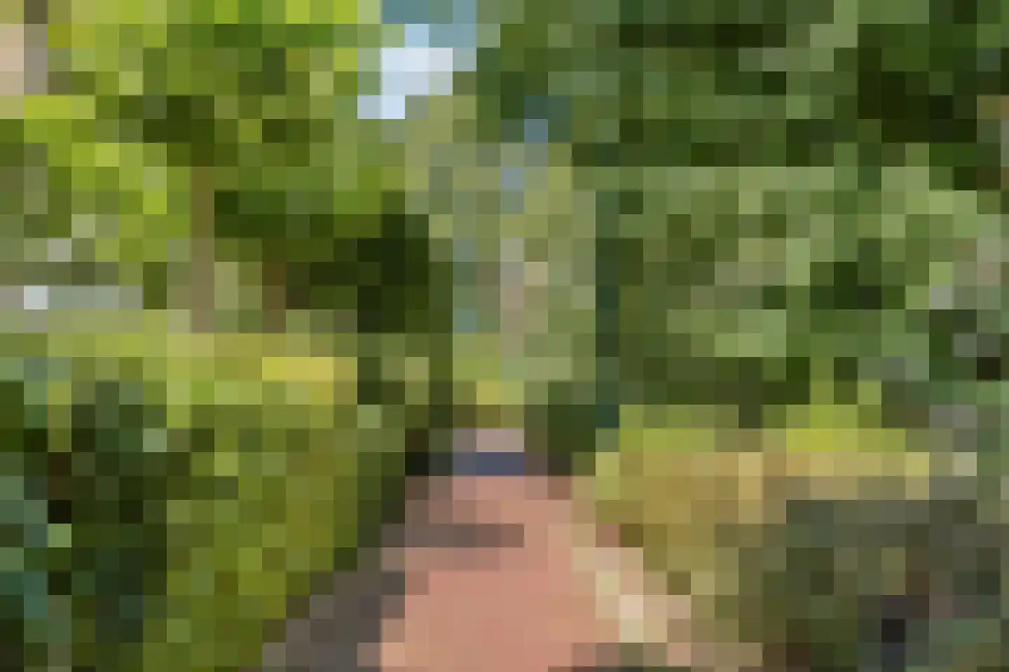 Bergroos 4 Leusden thumbnail 41