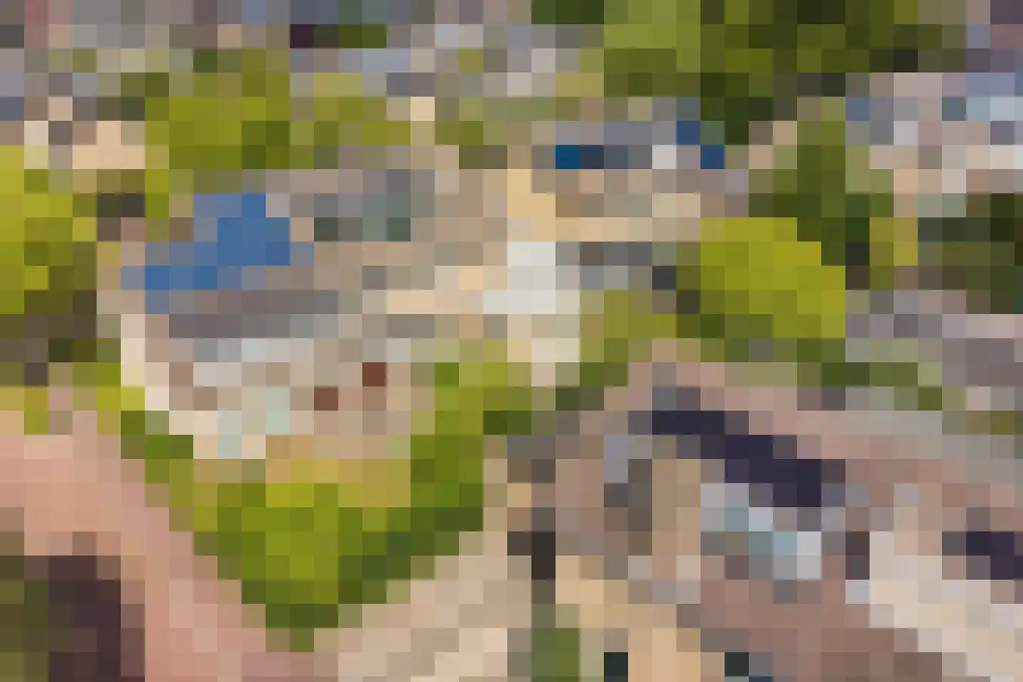 Bergroos 4 Leusden thumbnail 43