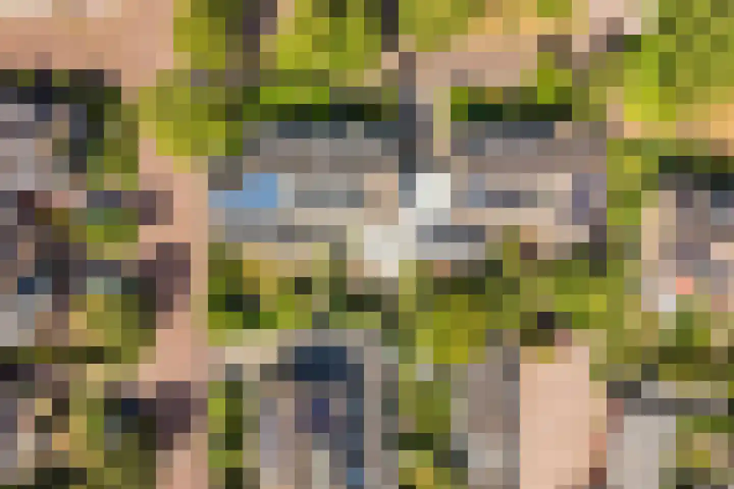 Bergroos 4 Leusden thumbnail 44
