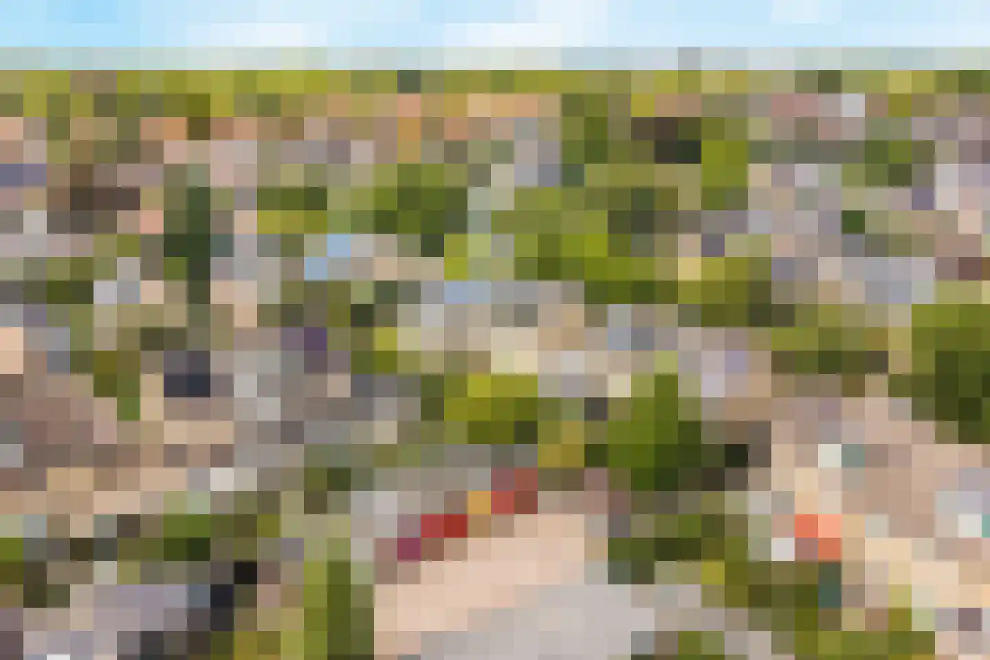 Bergroos 4 Leusden thumbnail 45