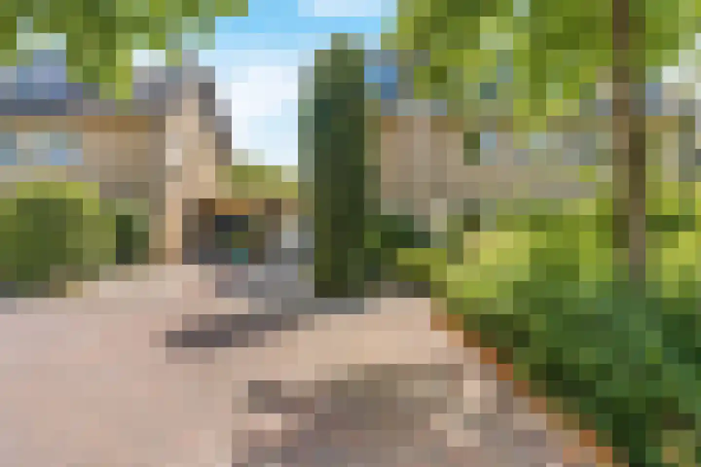 Bergroos 4 Leusden thumbnail 5