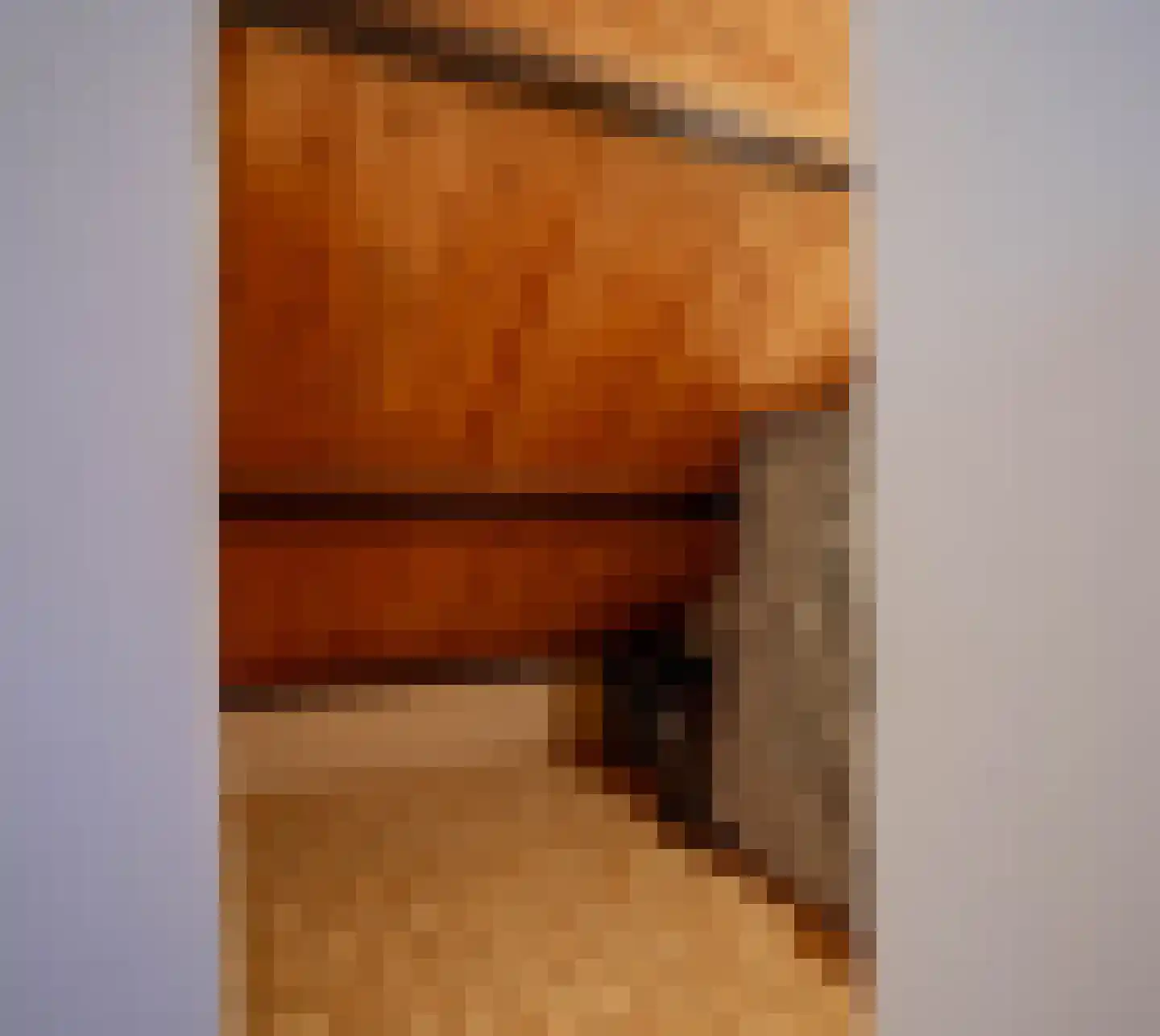 Bergroosstraat 16 Bakel thumbnail 36