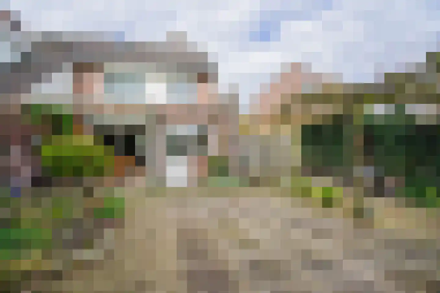 Bergroosstraat 16 Bakel thumbnail 38