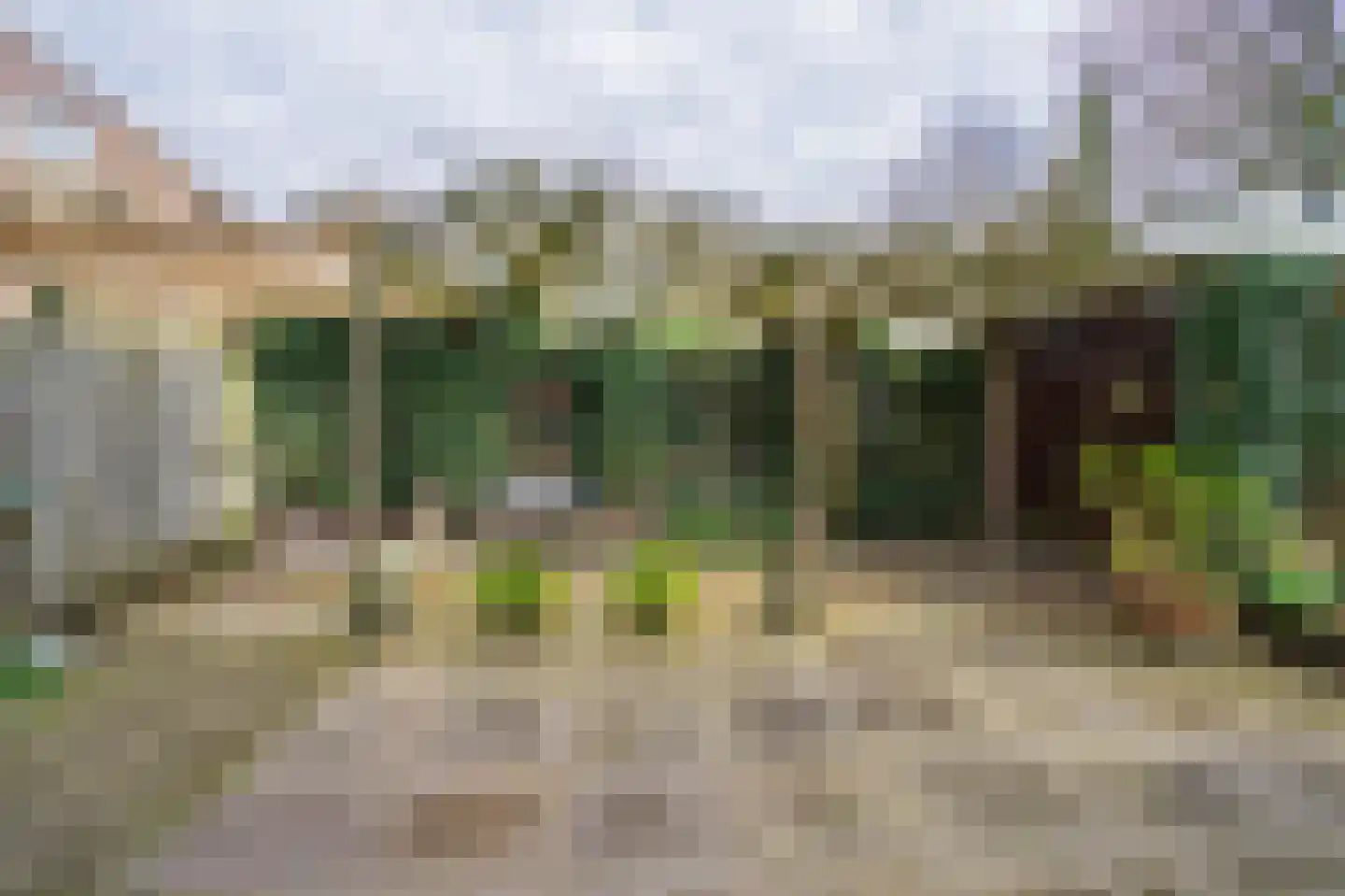 Bergroosstraat 16 Bakel thumbnail 39