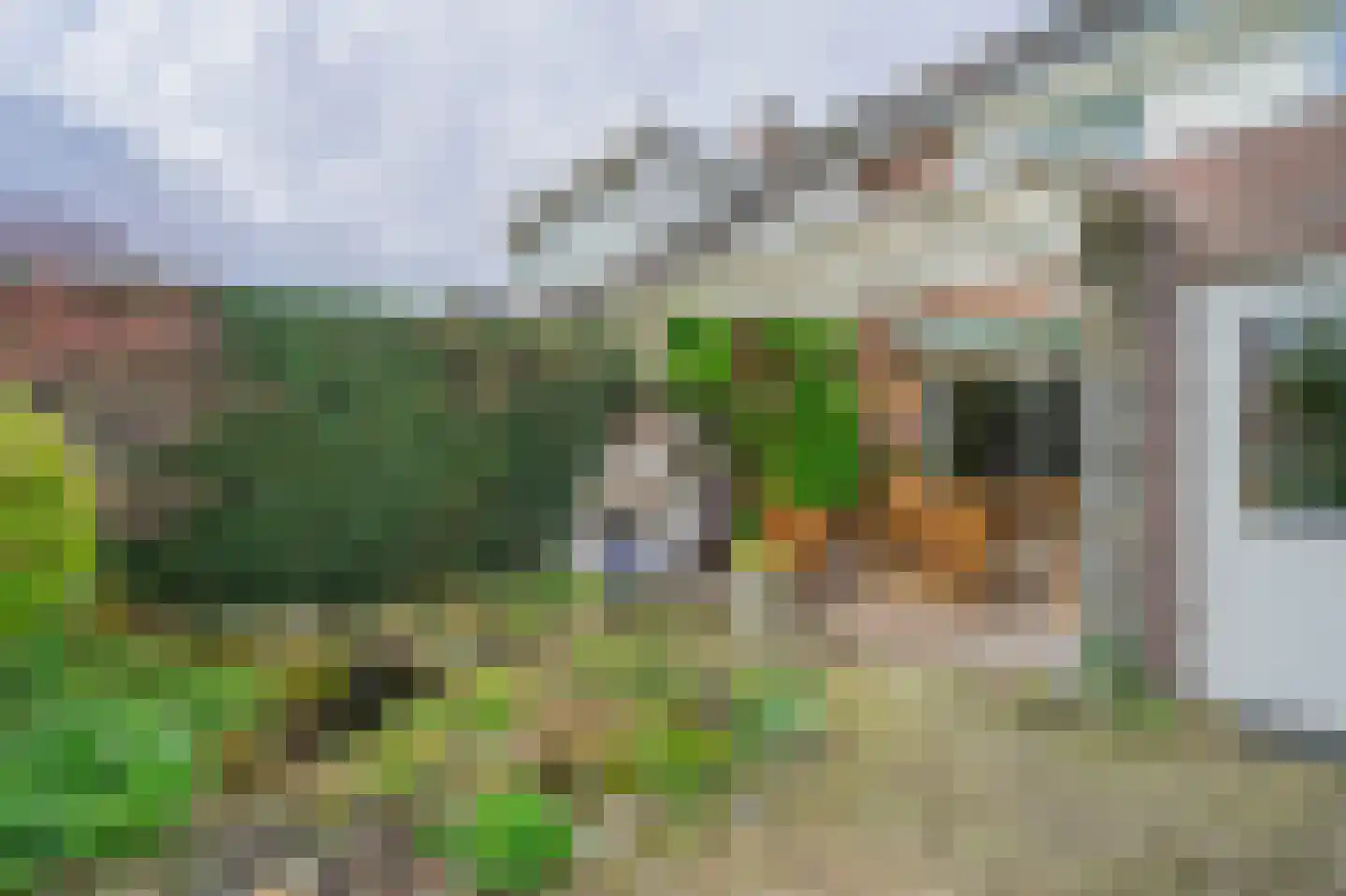 Bergroosstraat 16 Bakel thumbnail 40