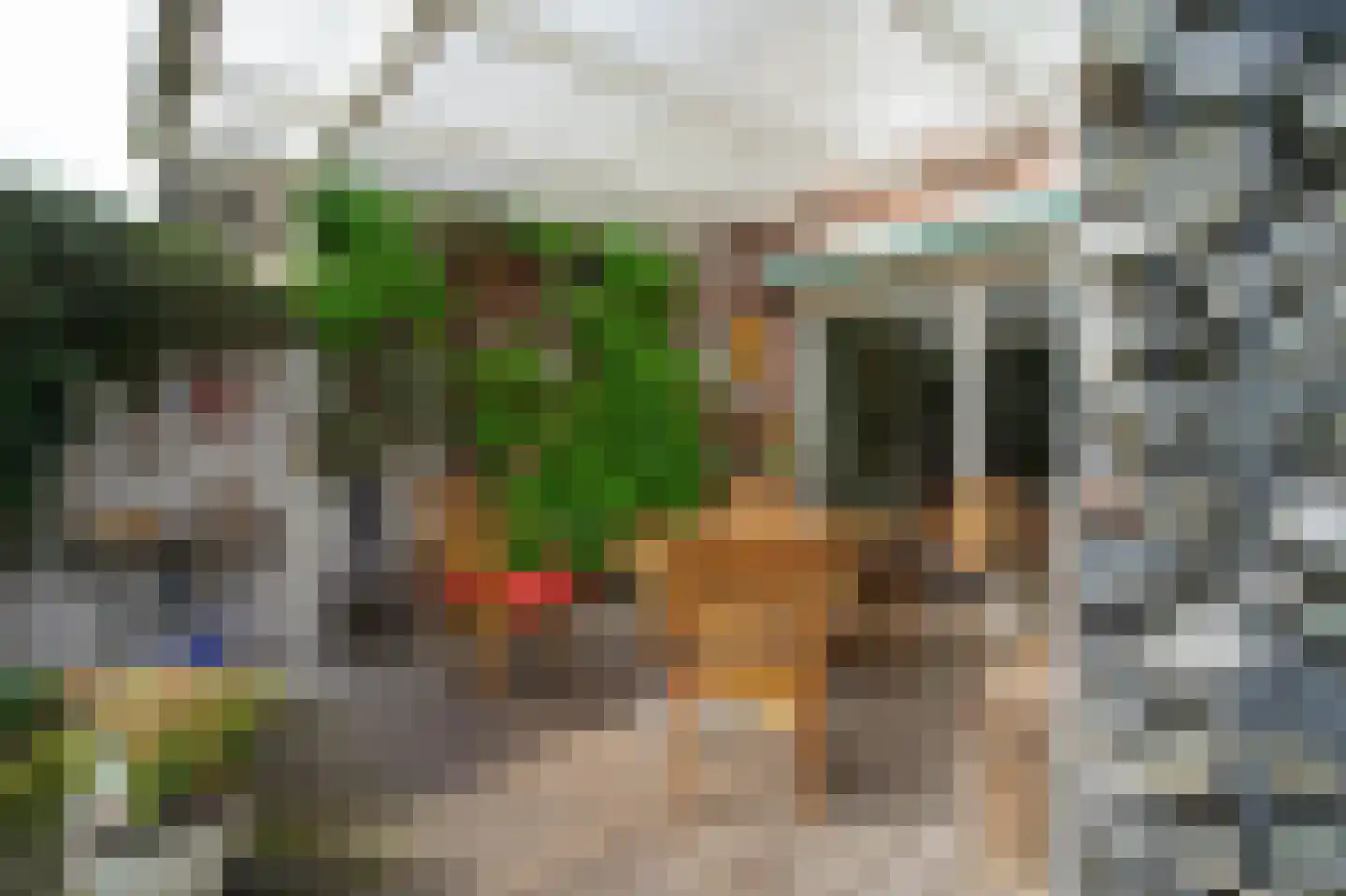 Bergroosstraat 16 Bakel thumbnail 41