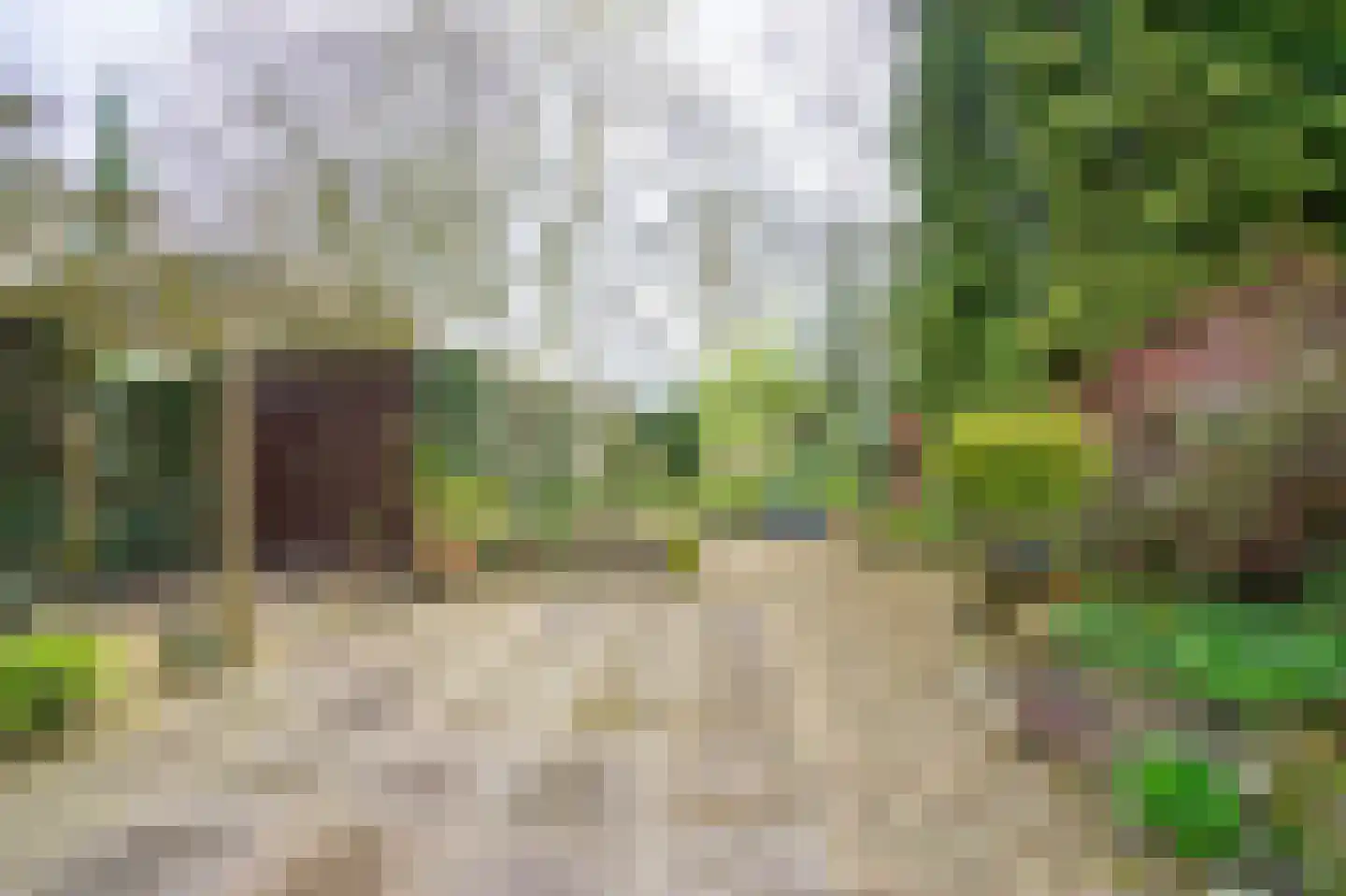 Bergroosstraat 16 Bakel thumbnail 43