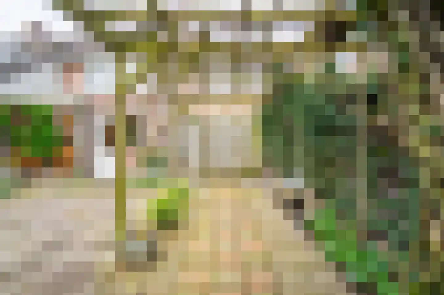 Bergroosstraat 16 Bakel thumbnail 44