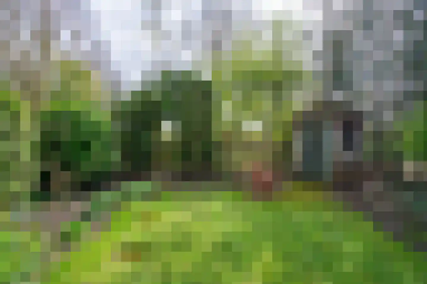 Bergroosstraat 16 Bakel thumbnail 47