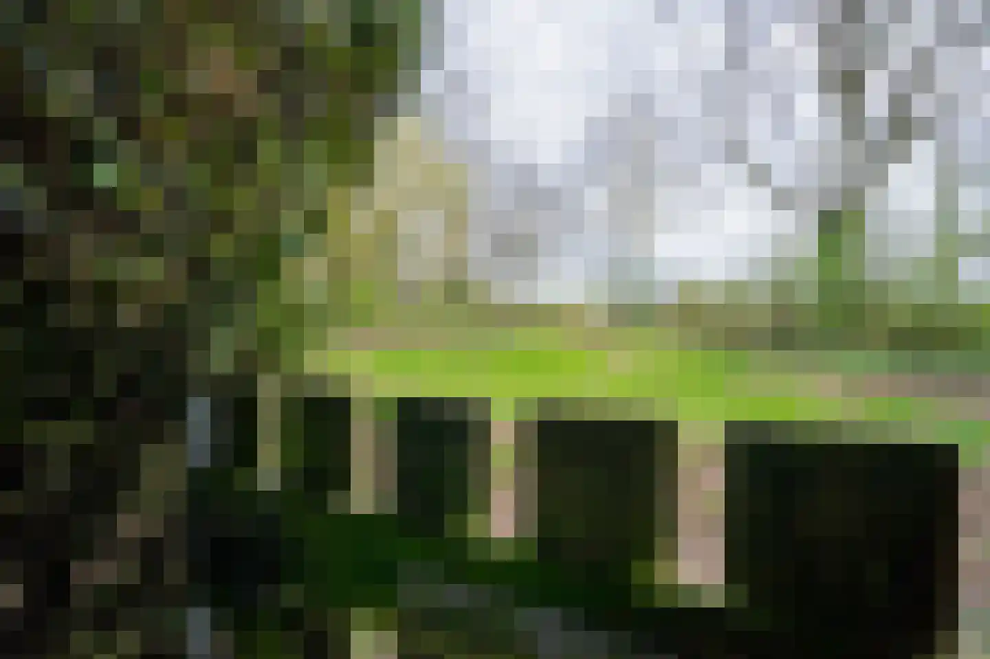 Bergroosstraat 16 Bakel thumbnail 48