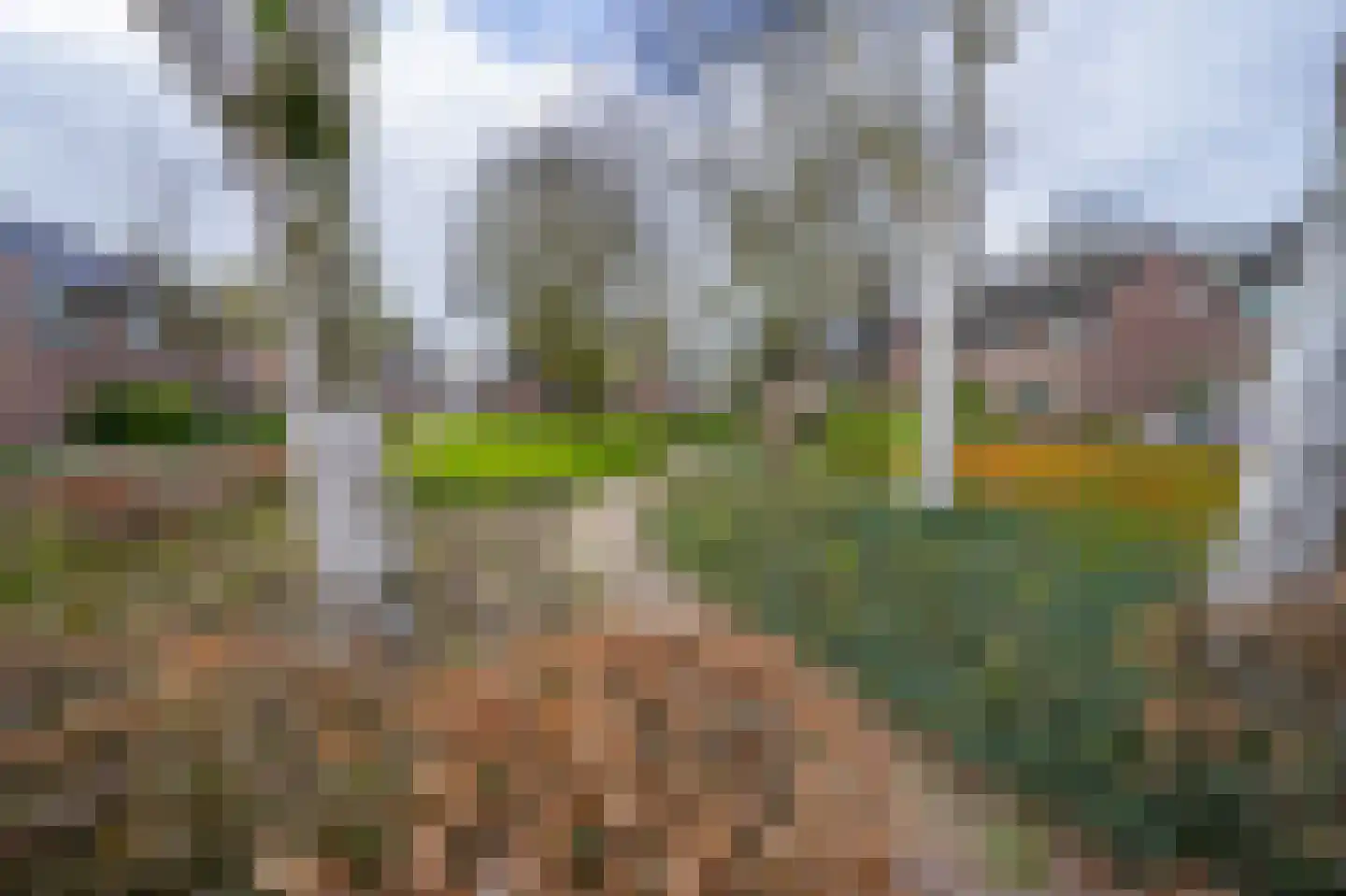 Bergroosstraat 16 Bakel thumbnail 49