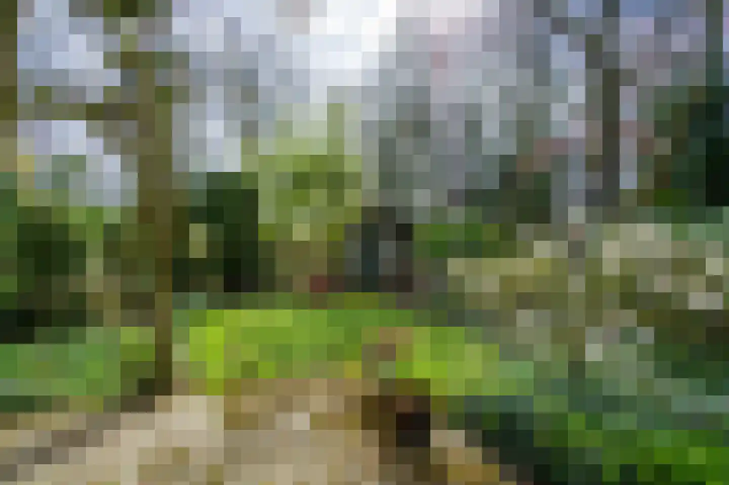 Bergroosstraat 16 Bakel thumbnail 5