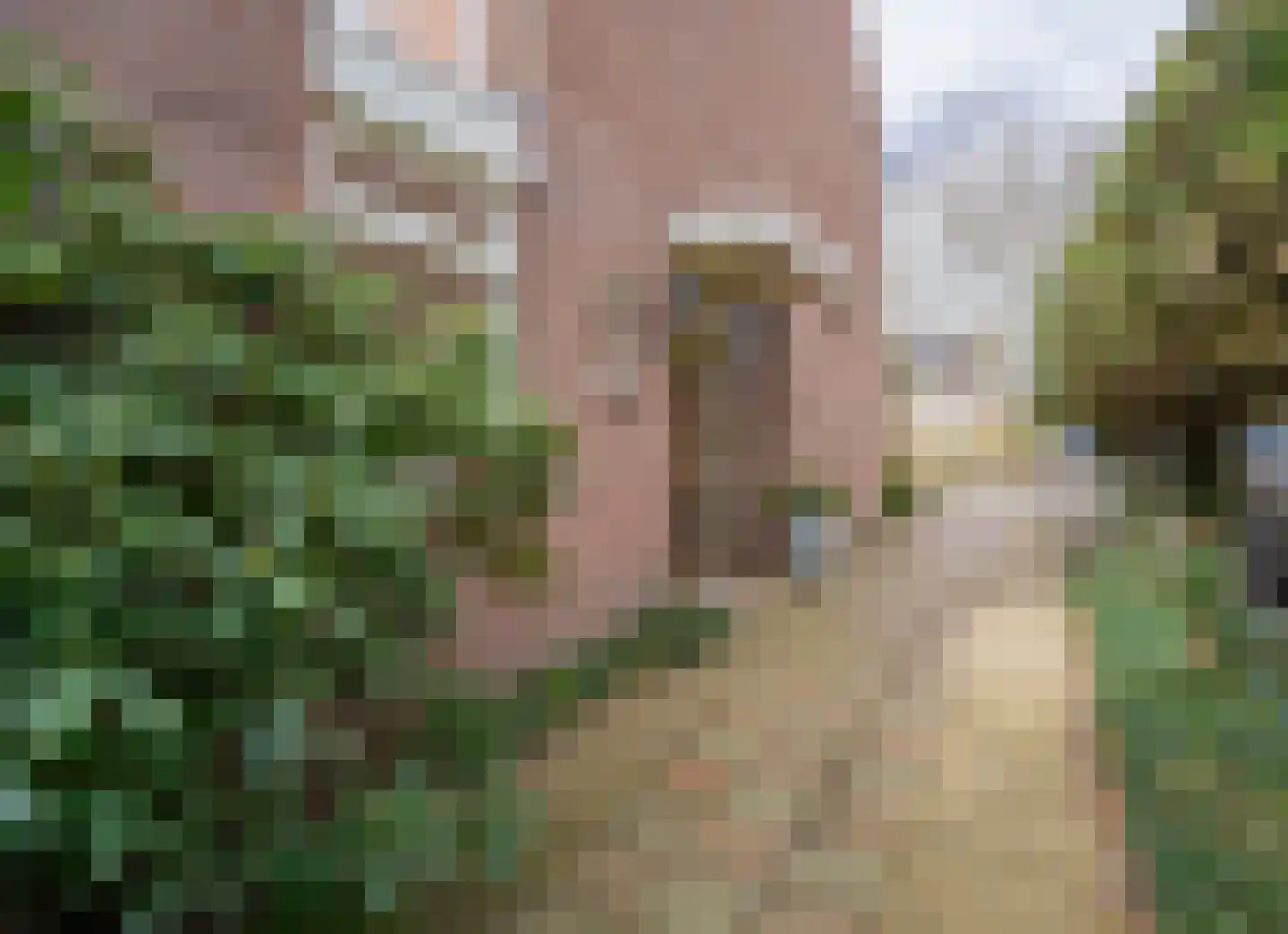 Bergroosstraat 16 Bakel thumbnail 6