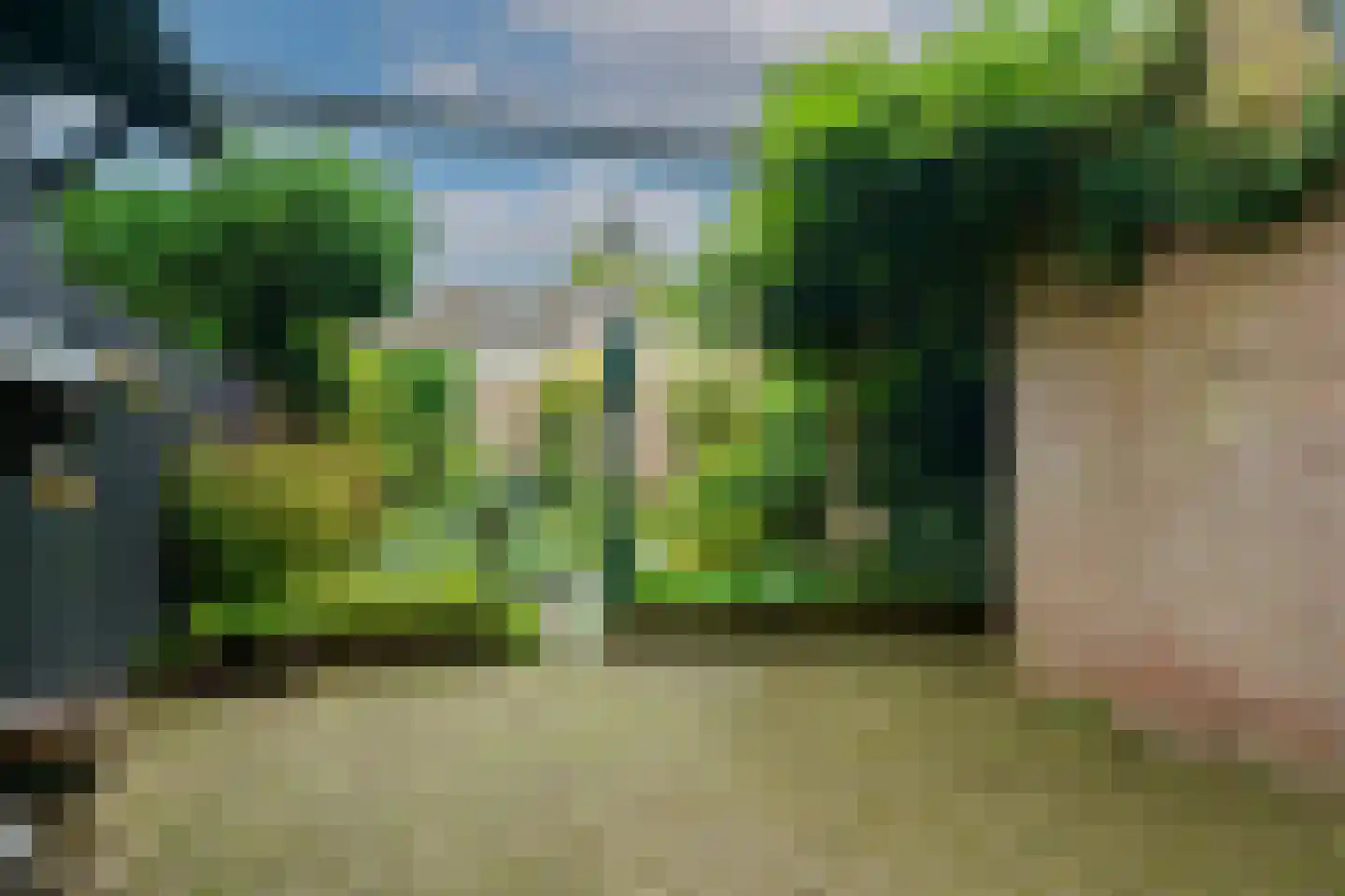Bergroosstraat 21 Bakel thumbnail 33