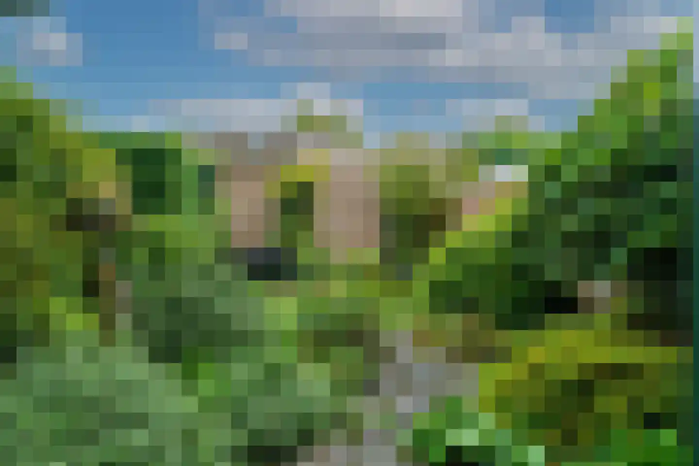 Bergroosstraat 21 Bakel thumbnail 34