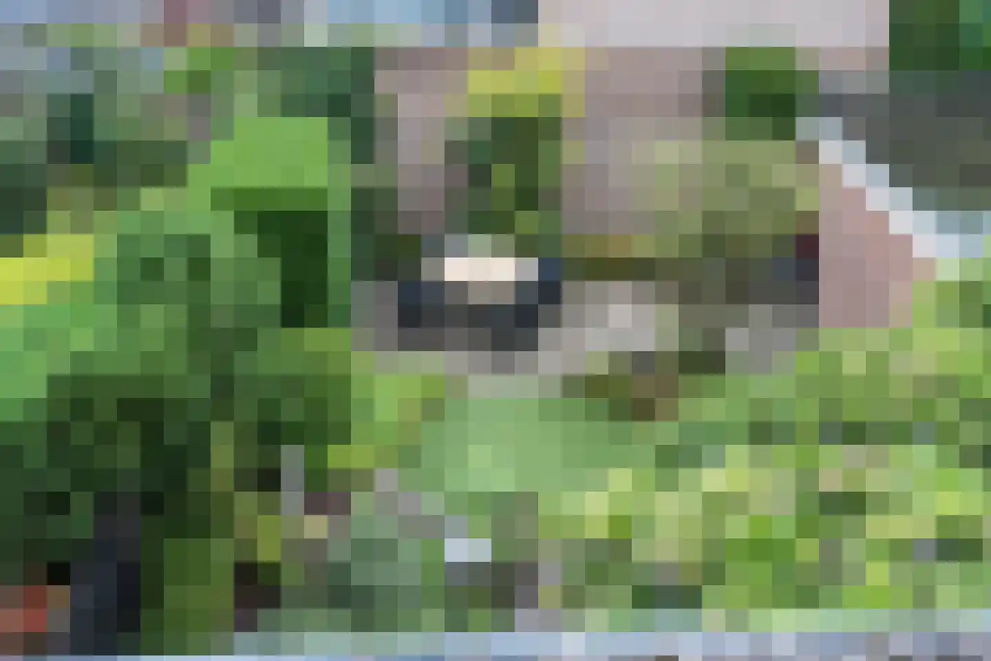 Bergroosstraat 21 Bakel thumbnail 37