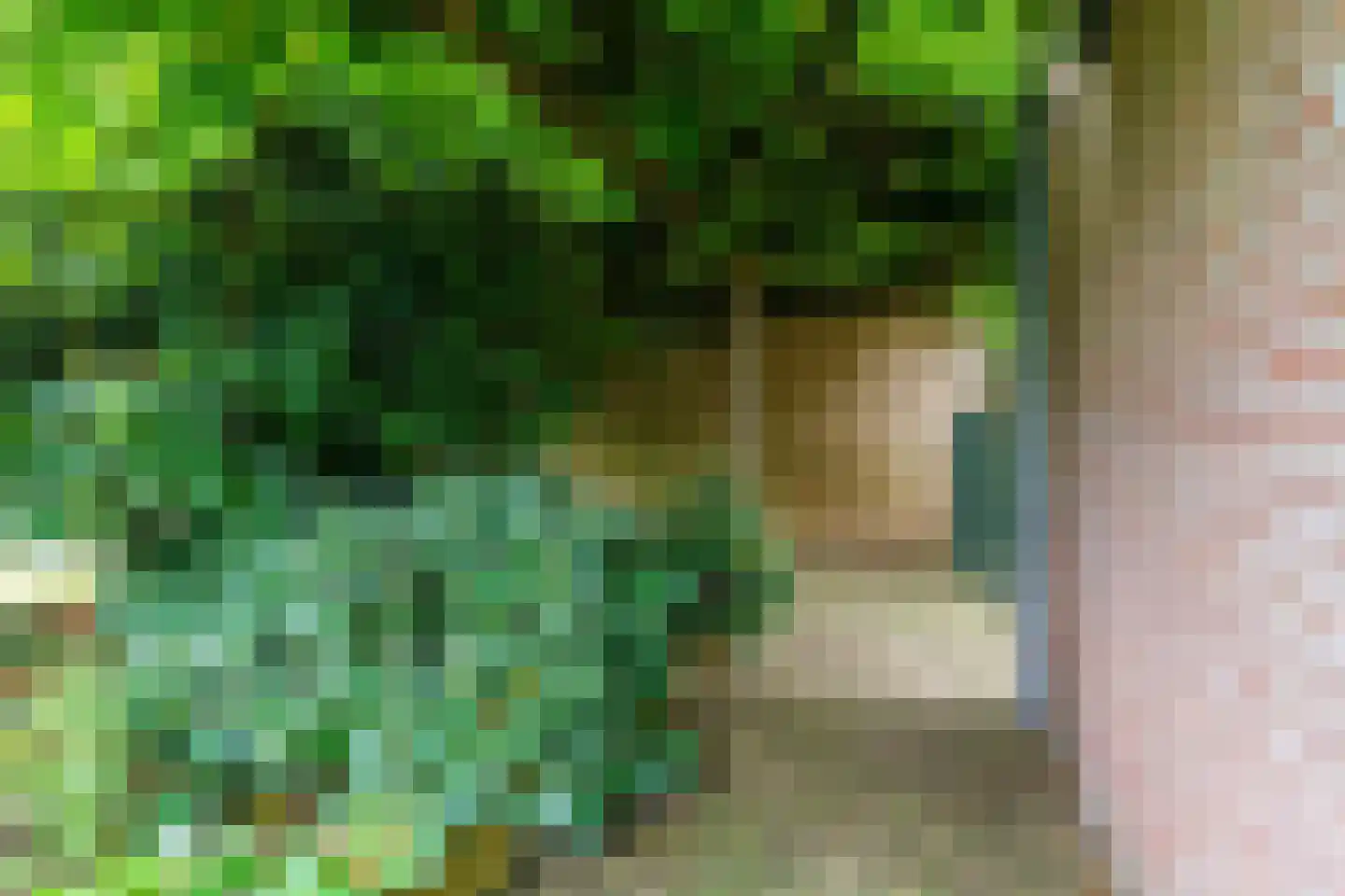 Bergroosstraat 21 Bakel thumbnail 38