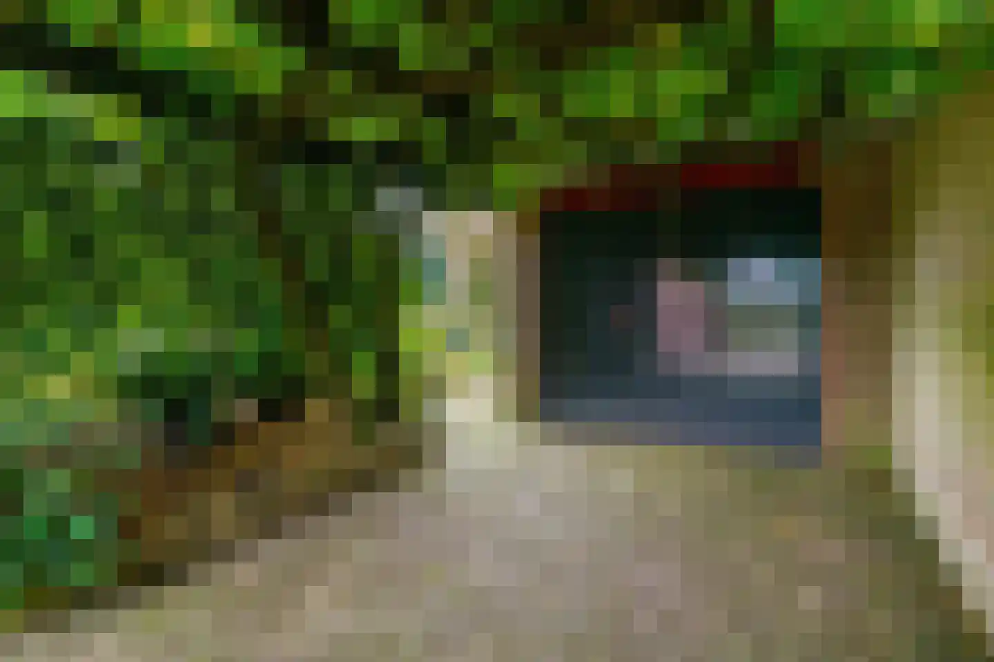 Bergroosstraat 21 Bakel thumbnail 39