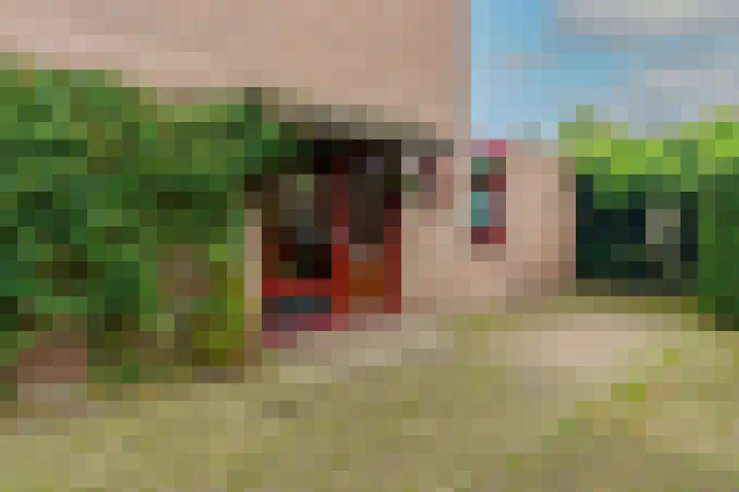 Bergroosstraat 21 Bakel thumbnail 4