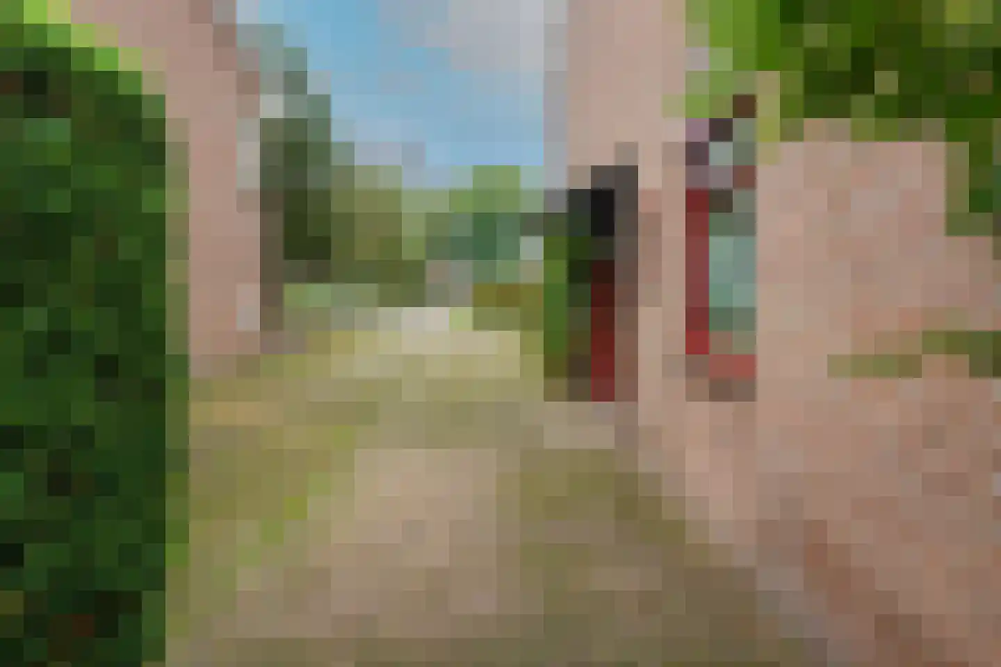 Bergroosstraat 21 Bakel thumbnail 40