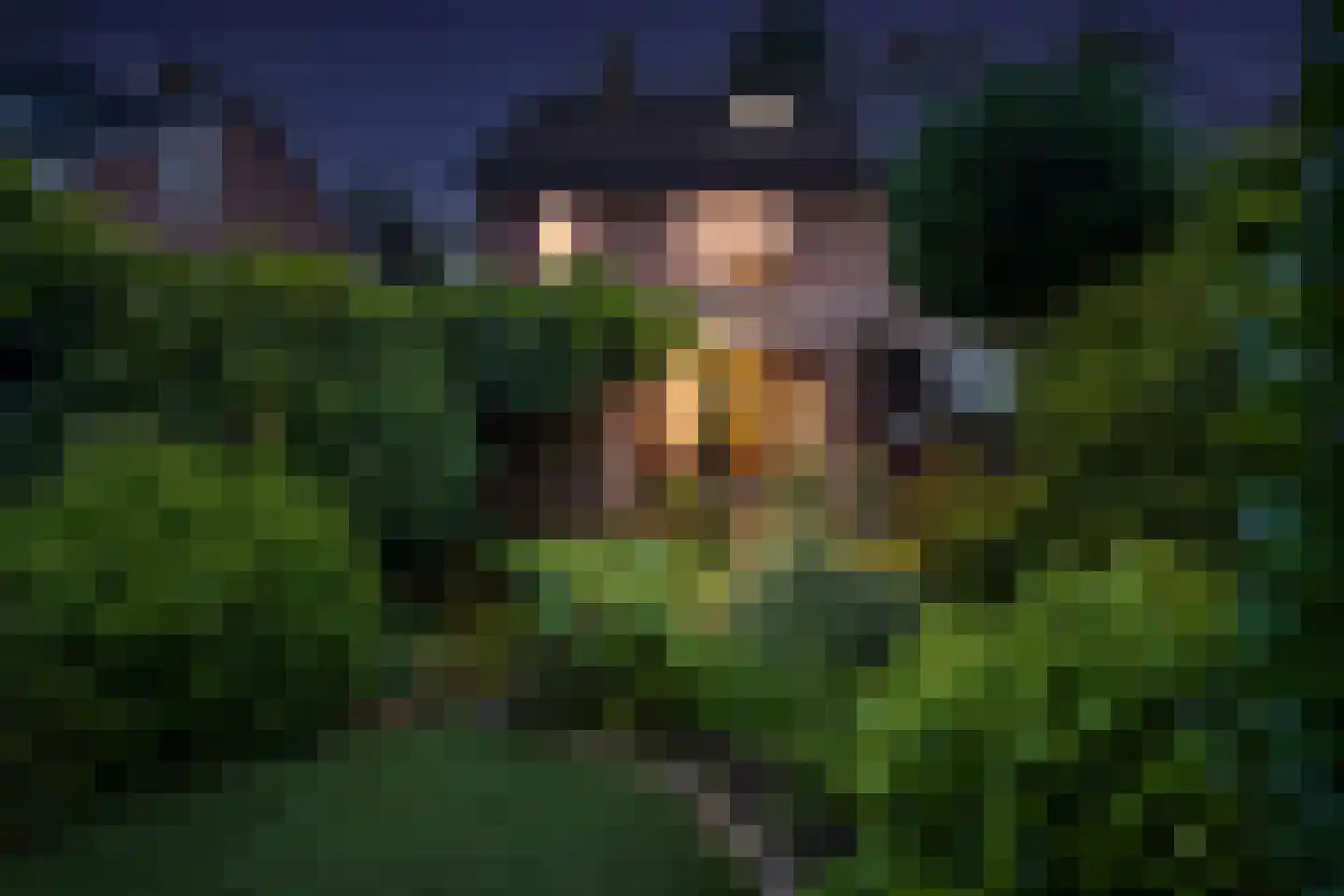 Bergroosstraat 21 Bakel thumbnail 41