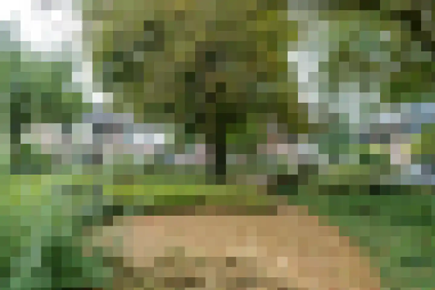 Bergroosstraat 21 Bakel thumbnail 45
