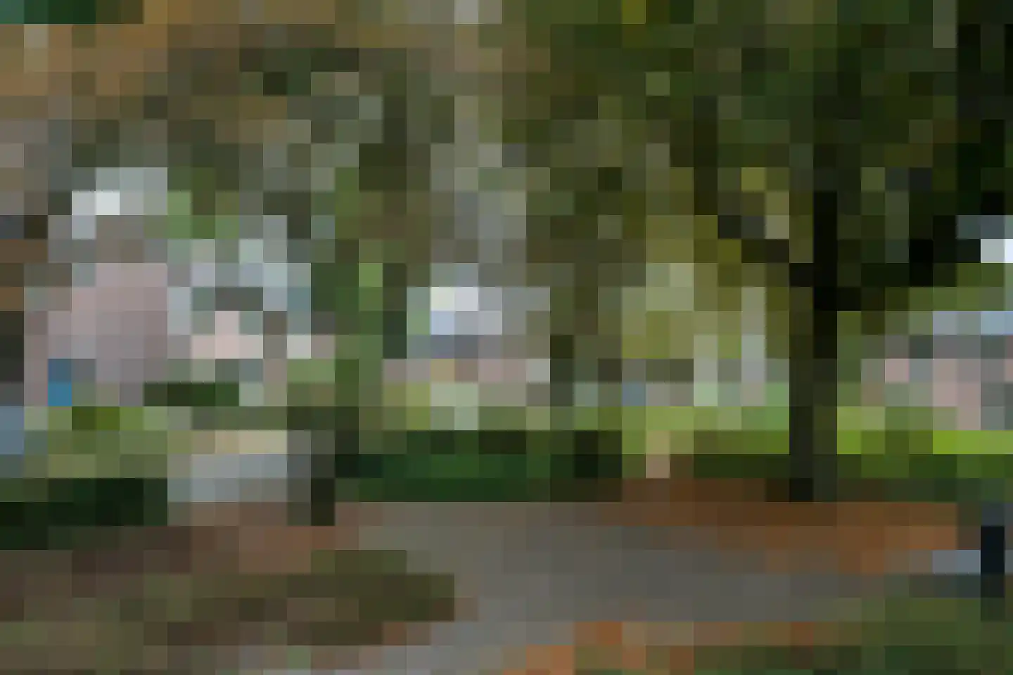 Bergroosstraat 21 Bakel thumbnail 46
