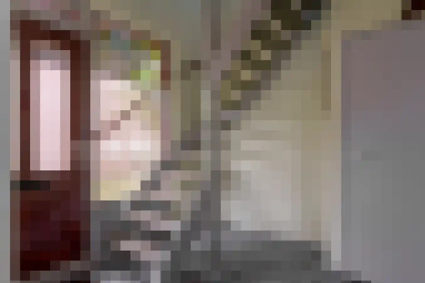 Bergroosstraat 21 Bakel thumbnail 5