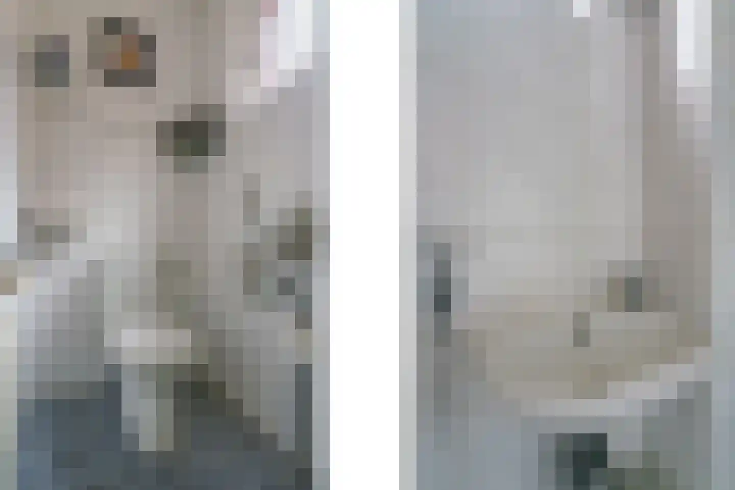 Bergroosstraat 21 Bakel thumbnail 6