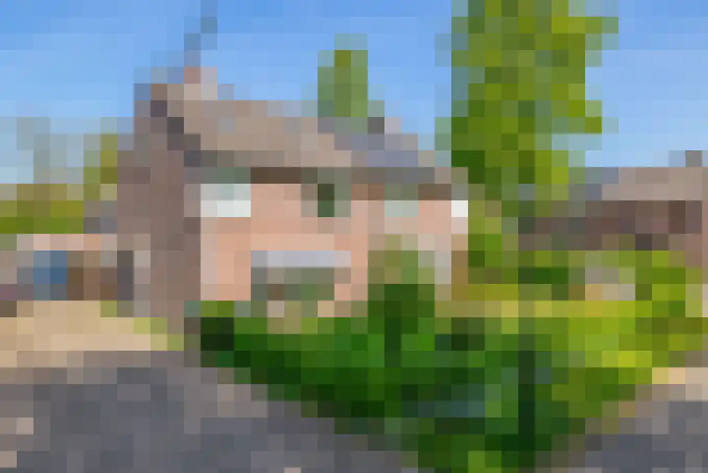Bergroosstraat 4 Bakel