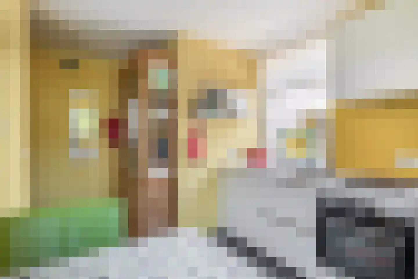 Bergroosstraat 4 Bakel thumbnail 22