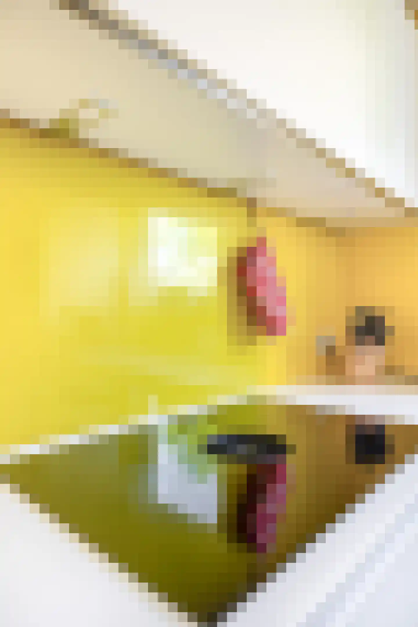 Bergroosstraat 4 Bakel thumbnail 24