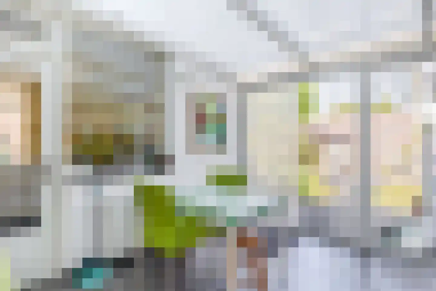 Bergroosstraat 4 Bakel thumbnail 25