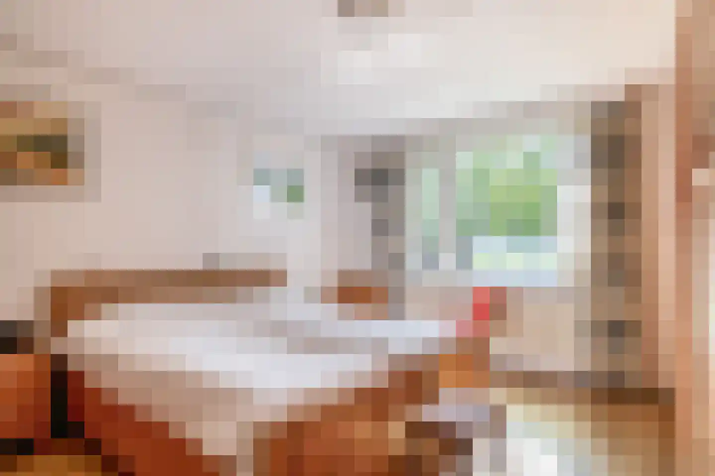 Bergroosstraat 4 Bakel thumbnail 29